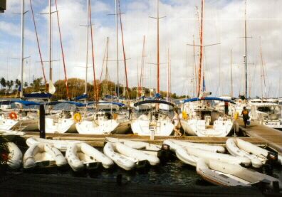 The Marina